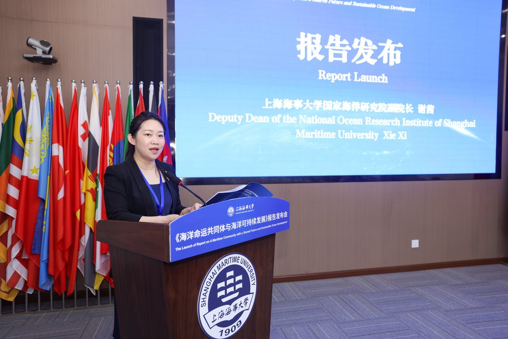 中国和朋友们的共同行动》中英文报告发